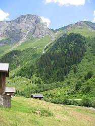 Les Prioux