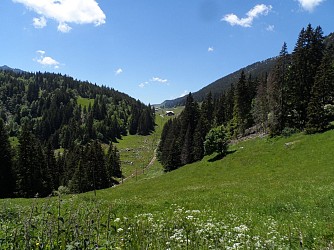 Sentier pédestre  historique Tom Morel