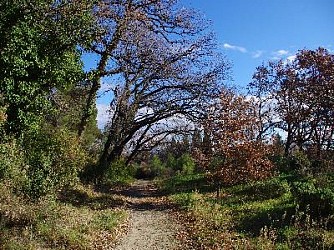 La Via Domitia à St Rémy de Provence