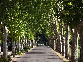 De Tarascon à Salon-de-Provence