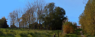 Waremme - "Entre Geer et Mulle" - 10,1km