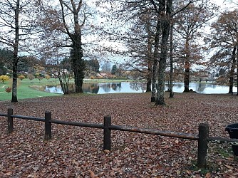 Circuit Uni'Vert Trail n°1 "des douglas"