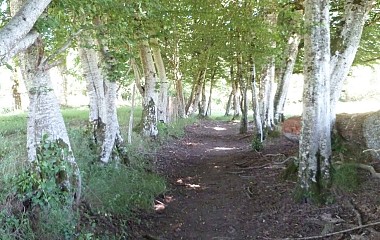 Variante par Nouailhaguet - Sentier de Meilhac