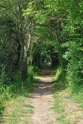 Boucle du bois de la Cornuère