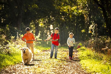 Tour de la forêt de Pincé