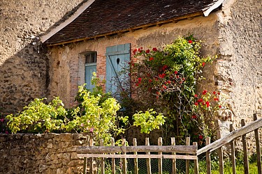 Circuit de la photographie