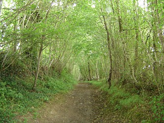 Entre tuffeau et grès roussard