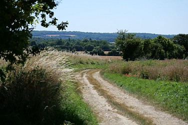 Autour du Saint-Symphorien