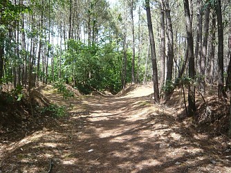 Circuit Le Joncheray