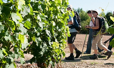 Lhomme - Escapade autour du Jasnières