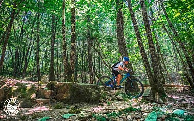 VTT N°43 - Les Bois de Moulès