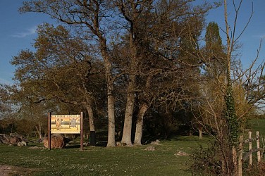 Circuit de la Pierre cochée à Droué
