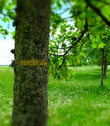 Circuit des Epoisses à Chauvigny-du-Perche