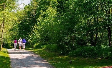 Balade Natura 2000 au Bois des Rêves