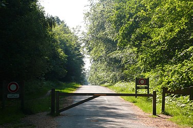 Vélo Promenade® n°5 : Entre Ille et forêt
