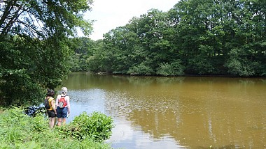 Circuit du Parc de la Higourdais