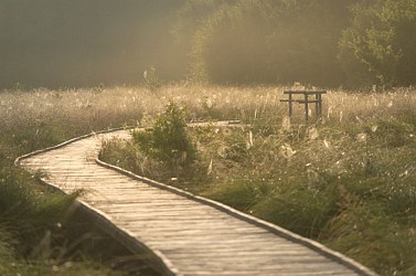 Sentier découverte de la tourbière de Landemarais