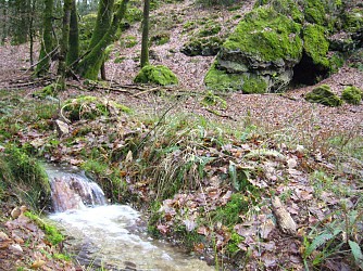 CIRCUIT VTT N°9 - BLEU - "LEGRUN"