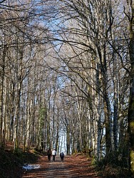 Rando pédestre - Circuit des Moulès