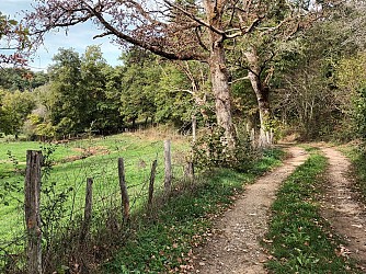 Hiking trail - From bees to honey