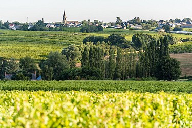 BEAULIEU SUR LAYON - 46 - DE LA FORÊT AU LAYON