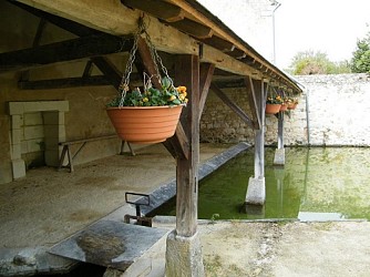 Circuit de randonnée : Entre vigne et forêt