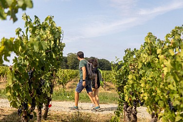 Drain - Entre Loire et Vignoble
