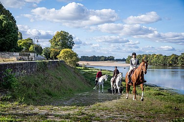 Circuit équestre : Vignes et coteaux du Saumur-Champigny