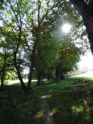 L'Hyrôme et ses anciens moulins