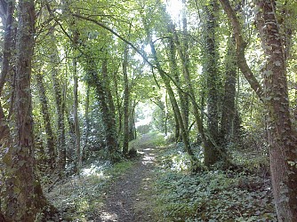 GR®3 La Loire sauvage à pied