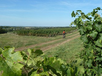 Circuit équestre entre Anjou et Touraine