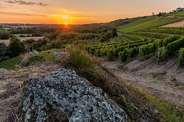 Route des vins - Coteaux et panoramas du Layon