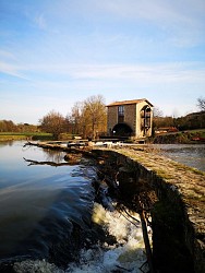 Randonnée "Les bords de Sèvre"