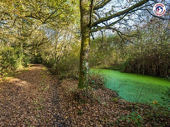 Sentier des Mares