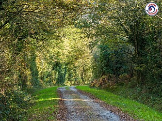 Sentier de l'Ormeau
