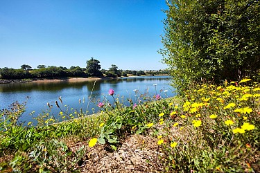Circuit du lac du Gué Gorand n°10