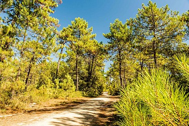 Circuit de la dune n°30