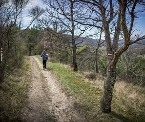 Huguenots et Vitrouillère