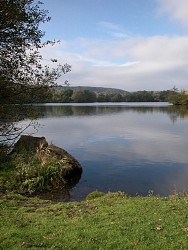 randonnée sur le sentier des étangs - Toutainville 27500