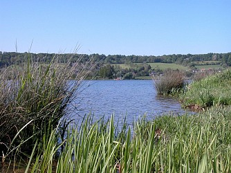 randonnée du parc des étangs - Boucle de Toutainville, 27500