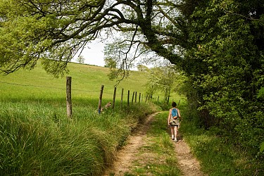 Au travers du bois de la Limone