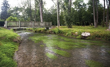 Randonnée "Forêt de Nanteau"