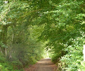 Berrien : Circuit pédestre de Lestrézec
