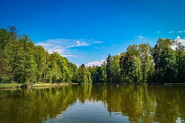 Balade de La Baronne au Bois des Rêves