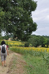 Sentier "la Tournée du Facteur"