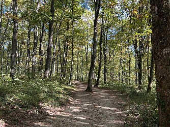 Auch : sentier pédagogique bleu du Bois d'Auch