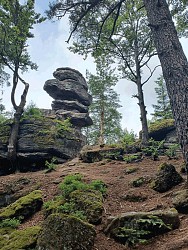 Circuit du Sandplatz