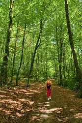 Le Circuit des Légendes