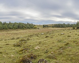 Chemin de découverte du Frau de Vial