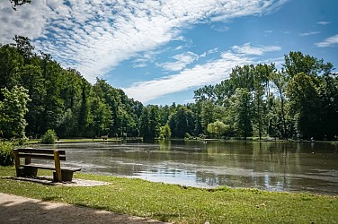 Balade du Bois des rêves au Lac de Louvain-la-Neuve